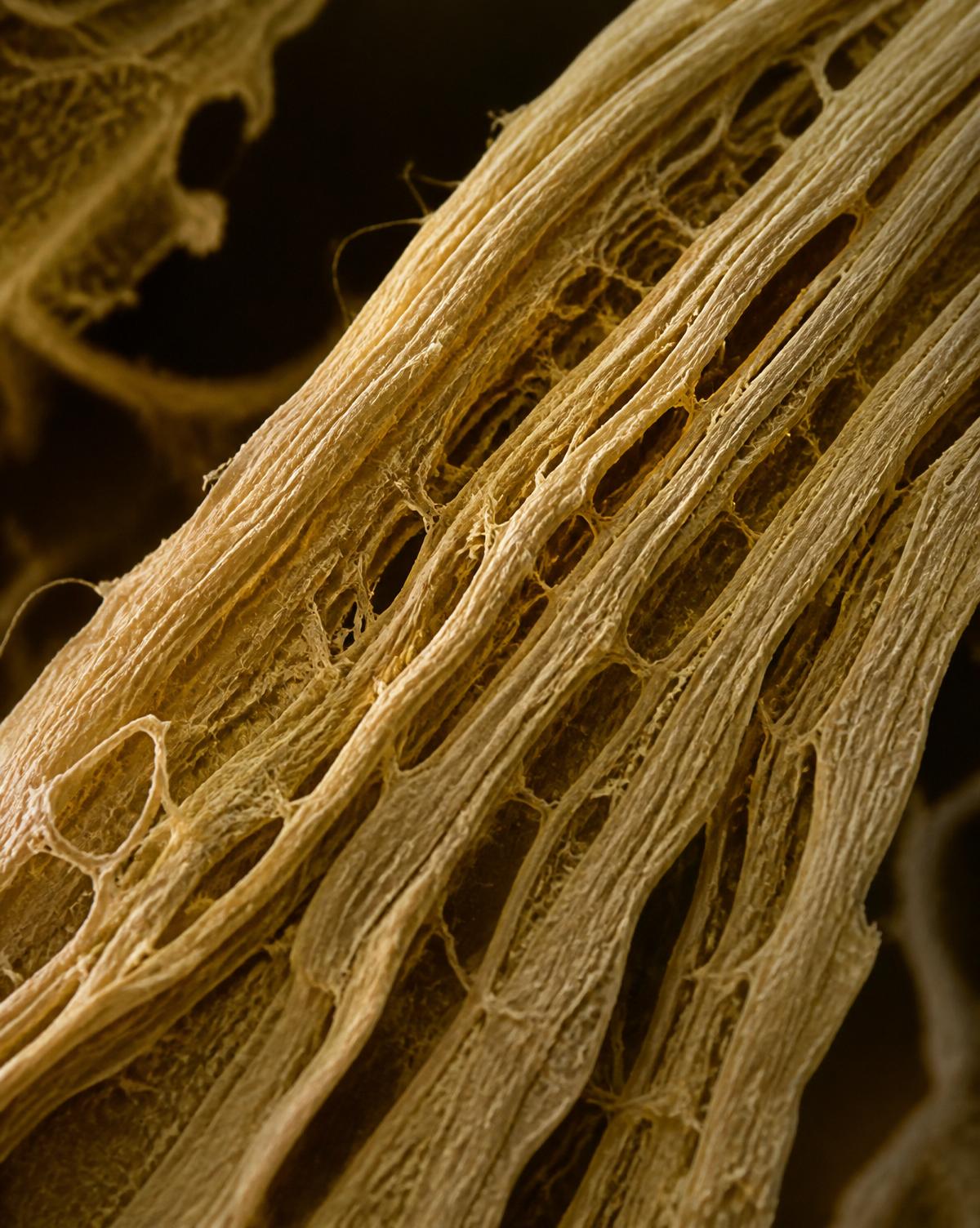 Laboratory study of an advanced natural-fiber material.